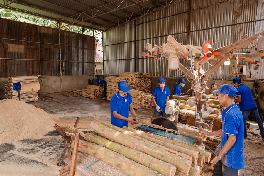 Quá trình chuẩn bị và xẻ gỗ là hoạt động không thể thiếu của một công ty sản xuất pallet gỗ
